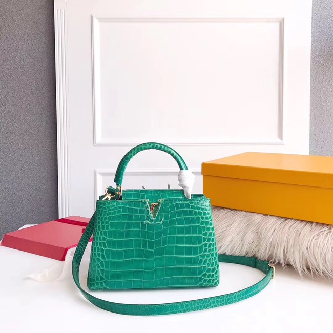 Louis vuitton original crocodile CAPUCINES PM M94587 green