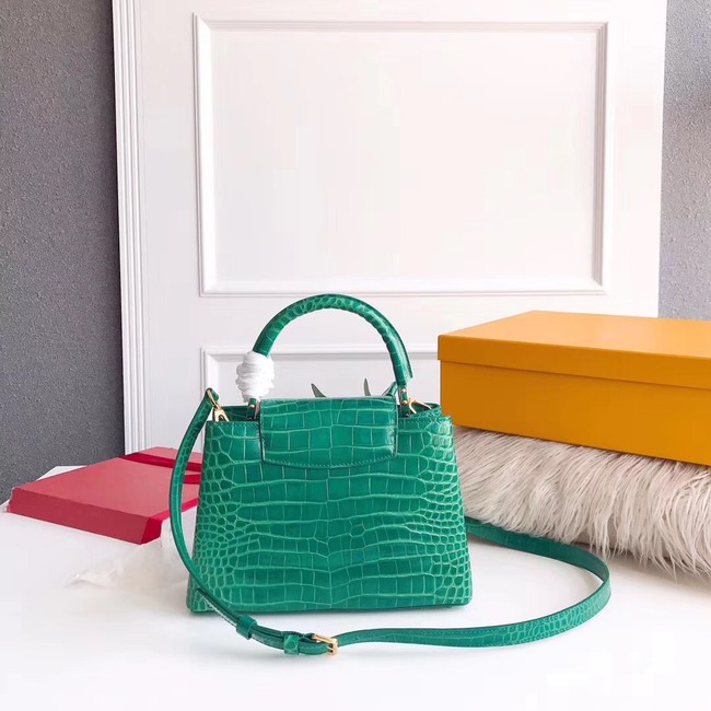 Louis vuitton original crocodile CAPUCINES PM M94587 green