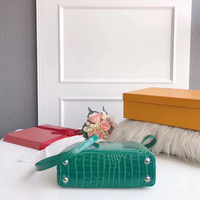 Louis vuitton original crocodile CAPUCINES PM M94587 green