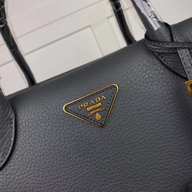 Prada Calf leather bag 1031 grey