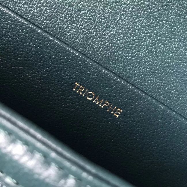 CELINE MEDIUM TRIOMPHE BAG IN SHINY CALFSKIN CL87363 GREEN