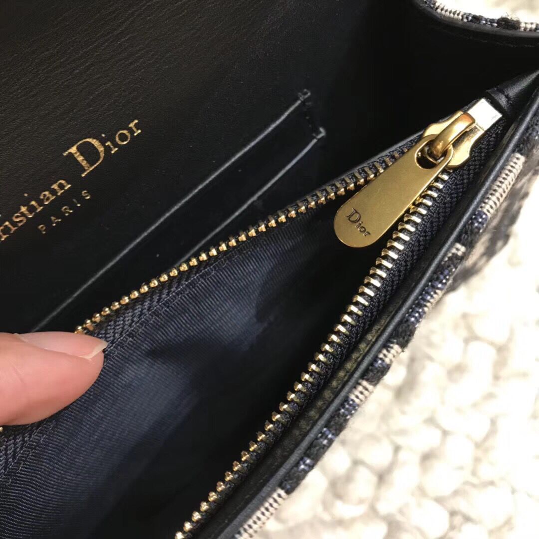 DIOR Oblique Belt Bag D26988