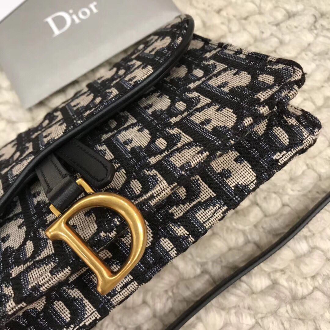 DIOR Oblique Belt Bag D26988