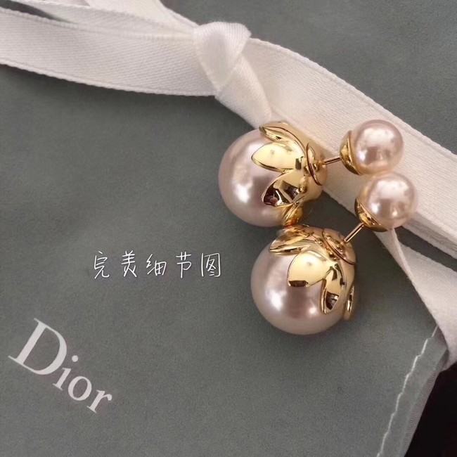 Dior Earrings CE1974