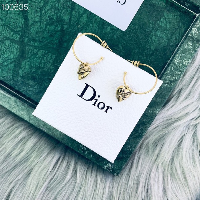 Dior Earrings CE2019