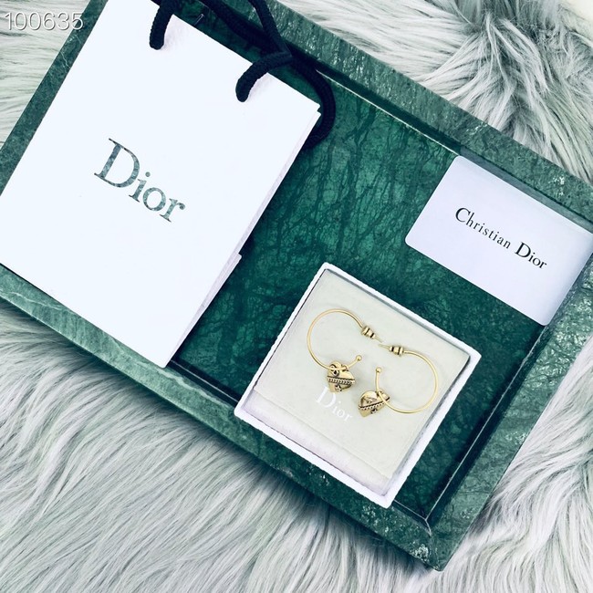 Dior Earrings CE2019