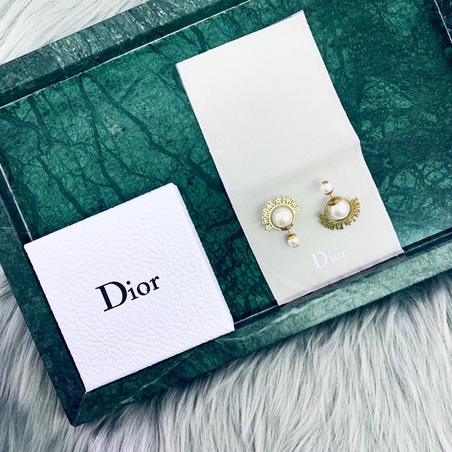 Dior Earrings CE2020