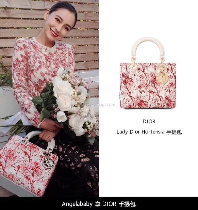 MINI LADY DIOR-TAS TOILE DE JOUY M0505OSNH