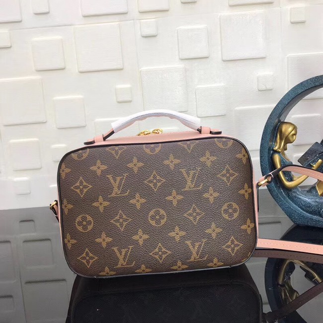 Louis Vuitton Monogram Canvas original Leather SAINTINGE N40154 pink