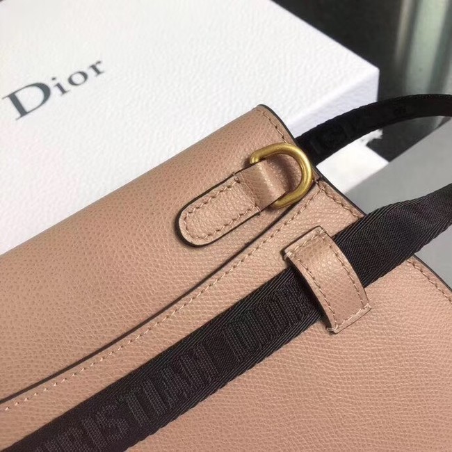 Dior SADDLE-CLUTCH VAN KALFSLEER S5632C pink