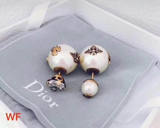 Dior Earrings CE2172