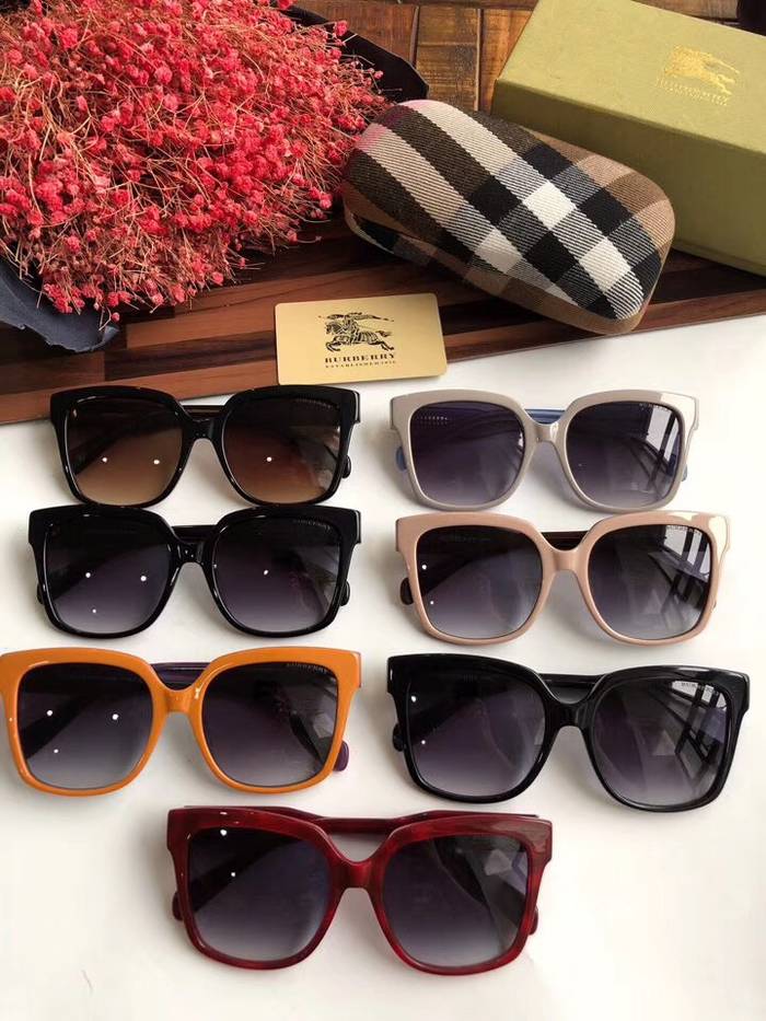 BurBerry Sunglasses Top Quality BB41017