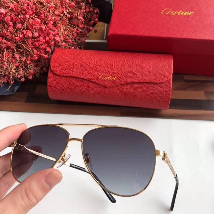 Cartier Sunglasses Top Quality C41050