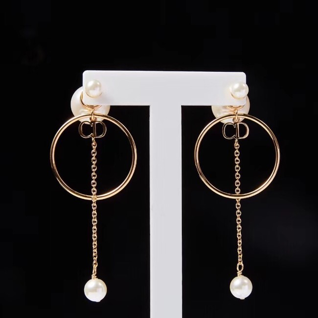 Dior Earrings CE2215