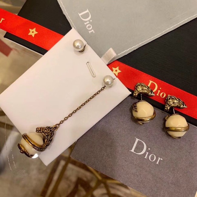 Dior Earrings CE2234