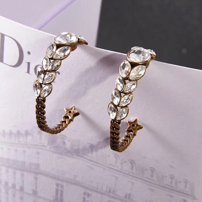 Dior Earrings CE2279