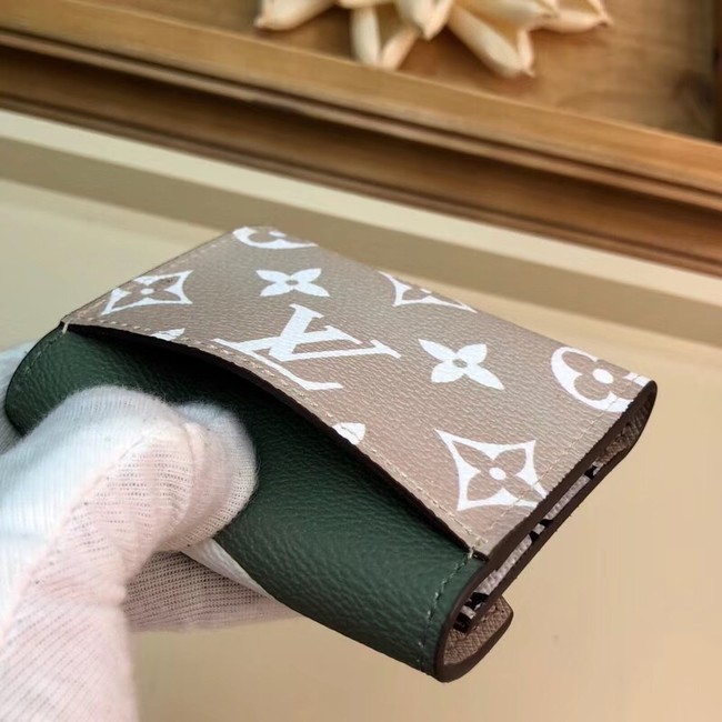 Louis vuitton ZOE Wallet M67641 