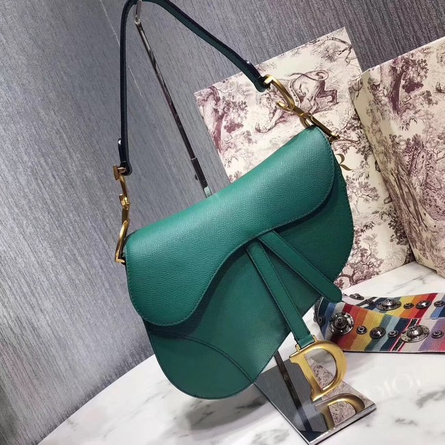 Dior SADDLE-TAS VAN KALFSLEER M0446C green