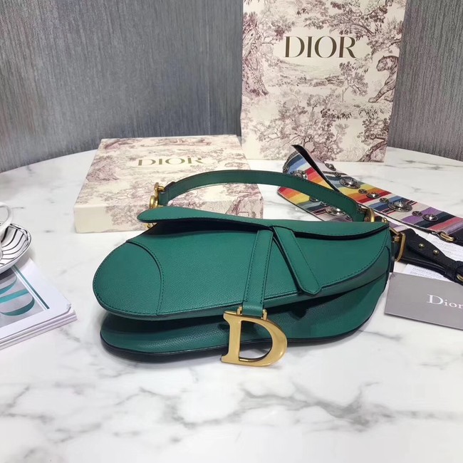 Dior SADDLE-TAS VAN KALFSLEER M0446C green