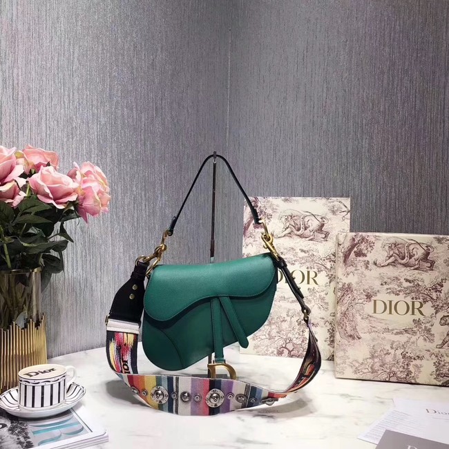 Dior SADDLE-TAS VAN KALFSLEER M0446C green