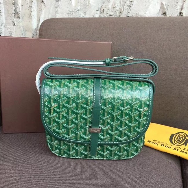 Goyard shoulder bag 36959 green