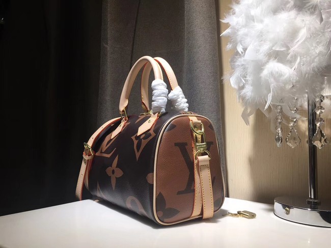 Louis Vuitton SPEEDY 25 M41111