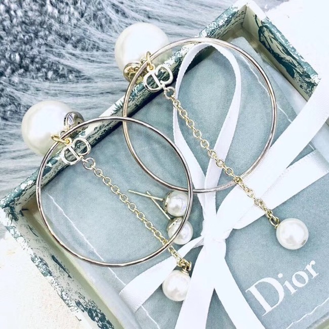 Dior Earrings CE2352