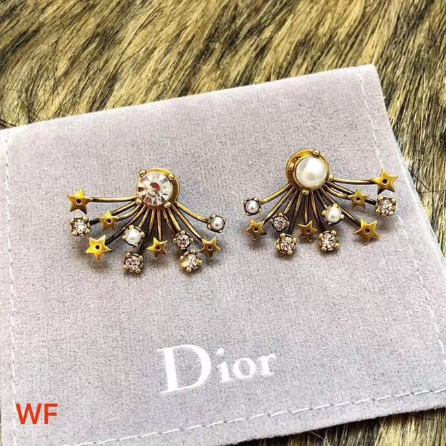 Dior Earrings CE3496