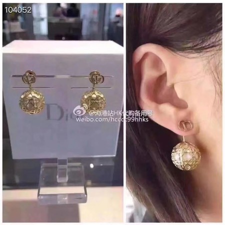 Dior Earrings CE3520