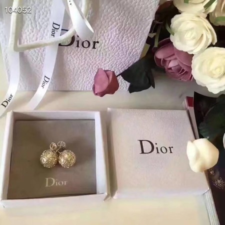 Dior Earrings CE3520