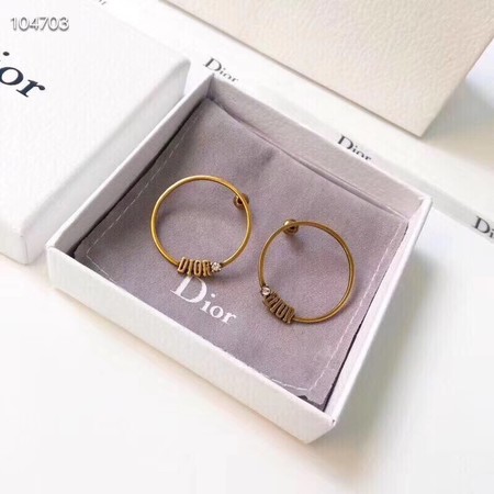 Dior Earrings CE3542