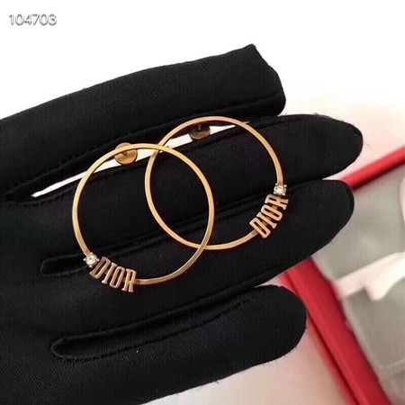 Dior Earrings CE3542