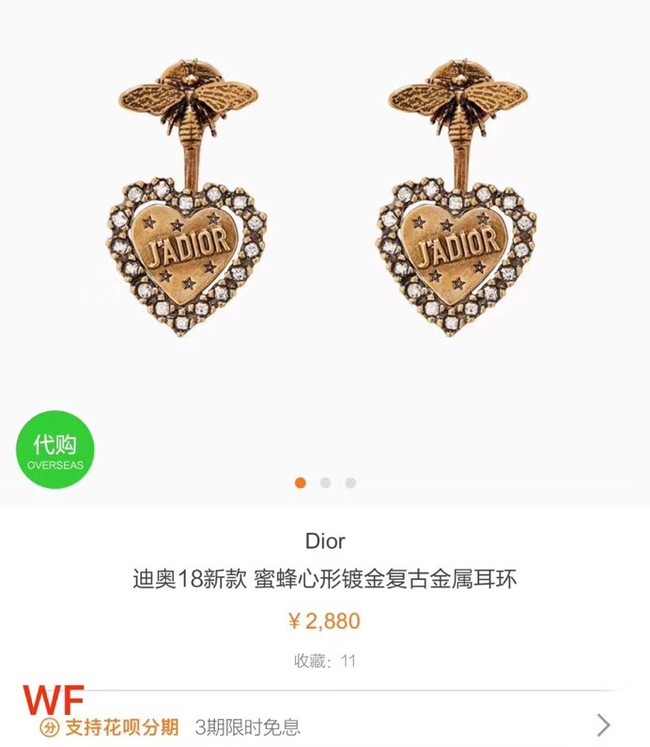 Dior Earrings CE3595