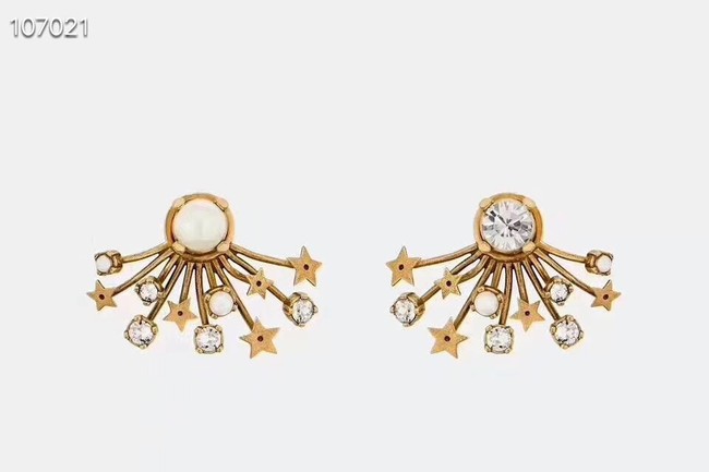 Dior Earrings CE3597