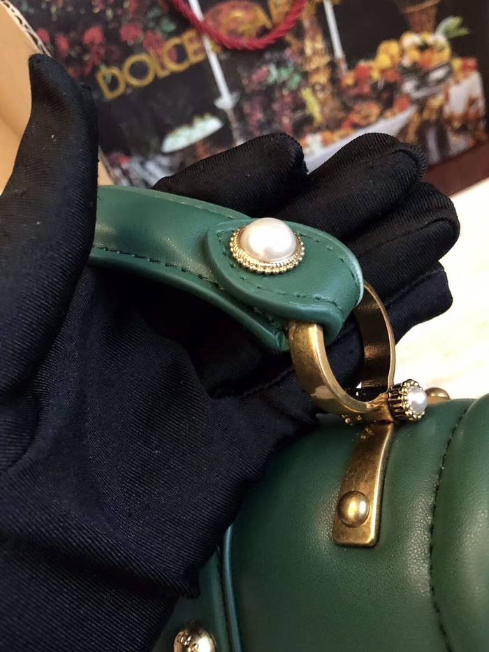 Dolce & Gabbana Origianl Leather Bag 4916 Green