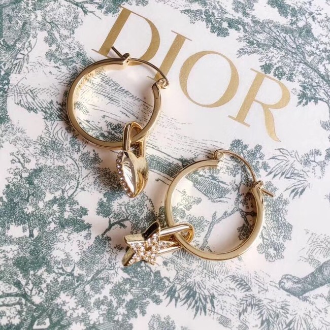 Dior Earrings CE3860