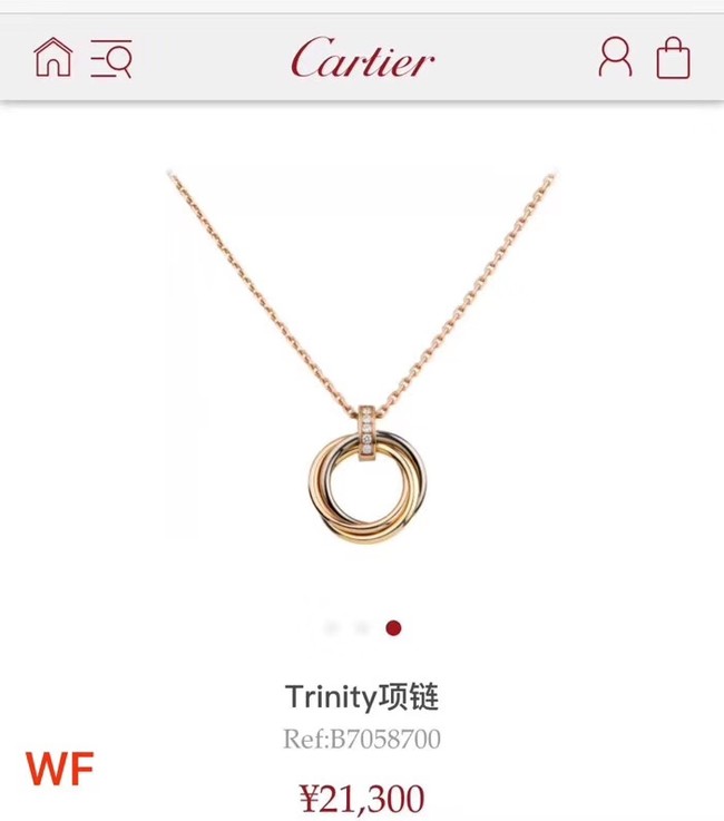 Cartier Necklace CE3869