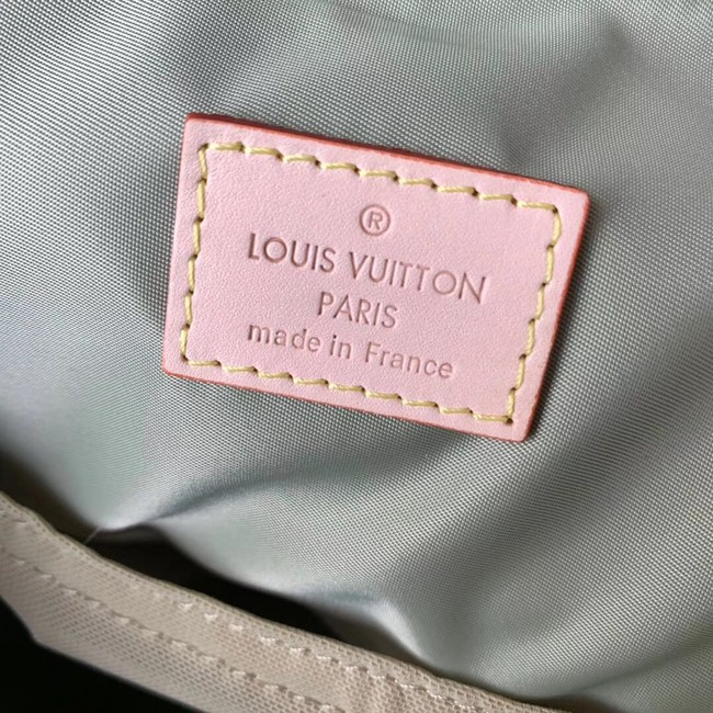 Louis Vuitton backpack M93055 grey