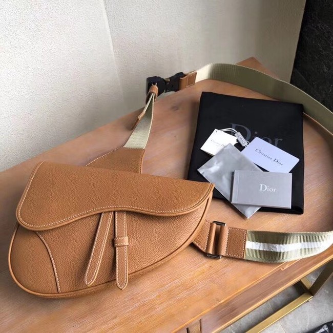 DIOR OBLIQUE SADDLE BELT BAG M9020 brown