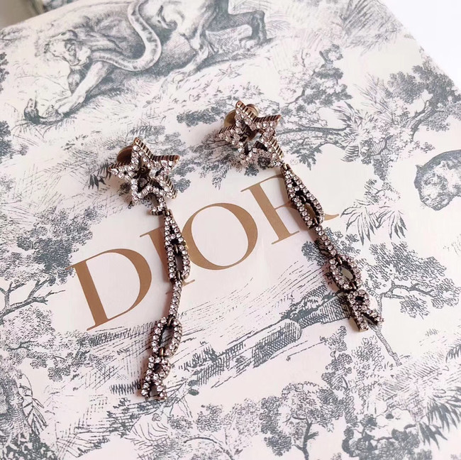 Dior Earrings CE4338