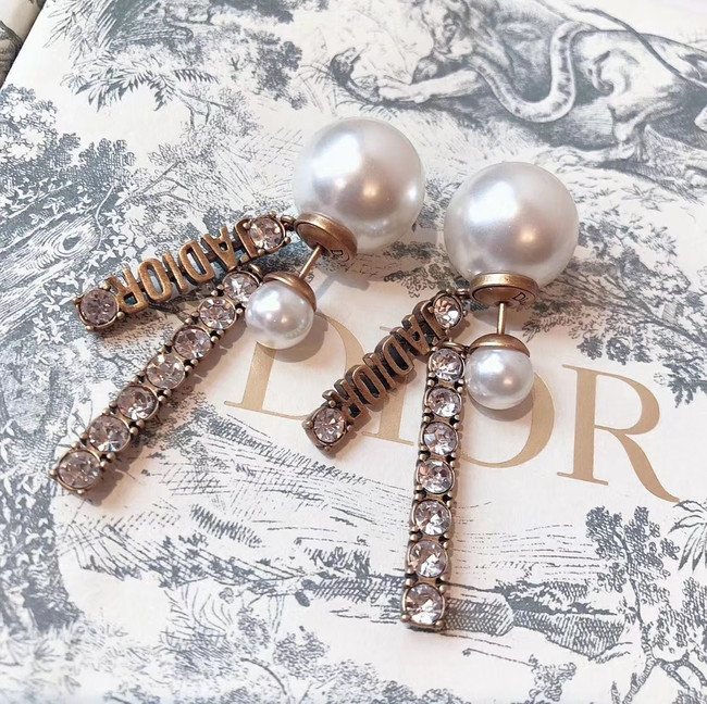 Dior Earrings CE4340