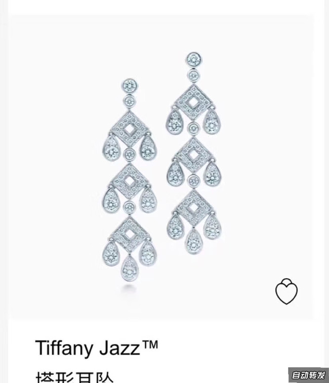 TIFFANY Earrings CE4492