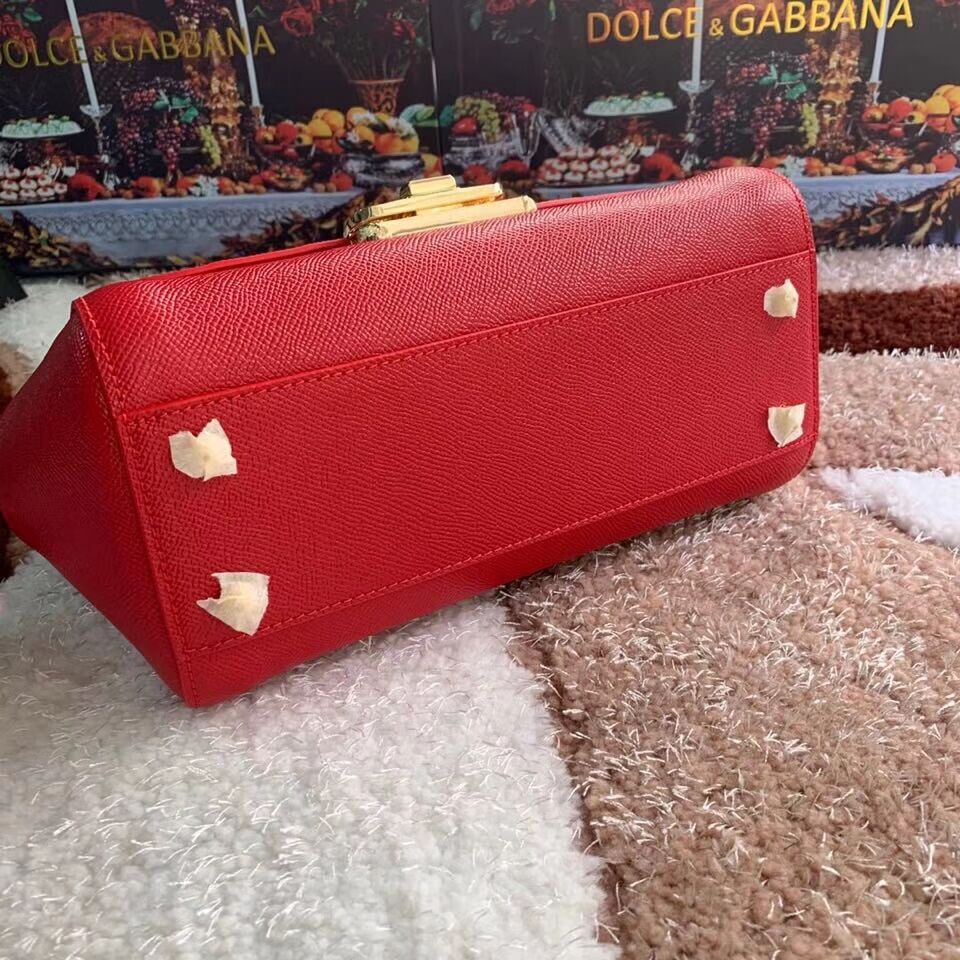 Dolce & Gabbana Origianl Leather Bag 4131 red