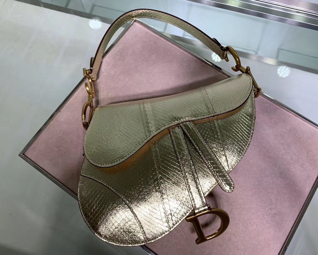 Dior SADDLE-TAS VAN KALFSLEER PYTHON LEATHER Bag M0446C Gold