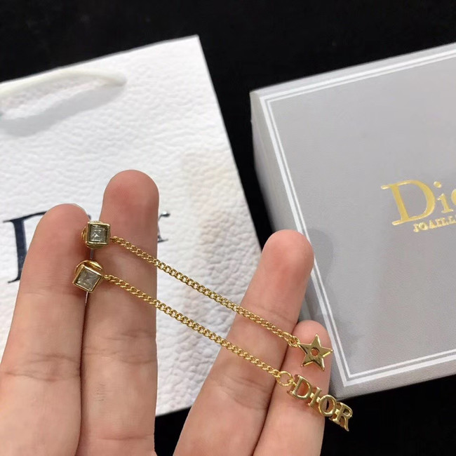 Dior Earrings CE4514