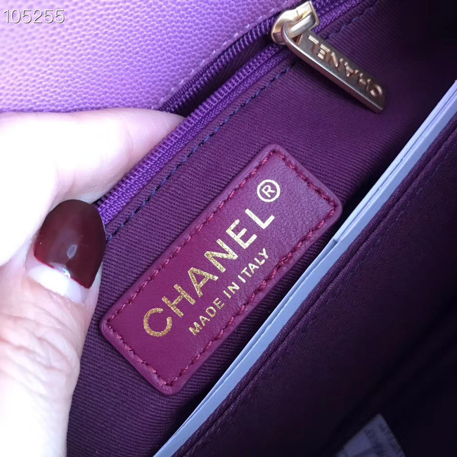 Chanel Small Flap Bag with Top Handle A92991 Purplish