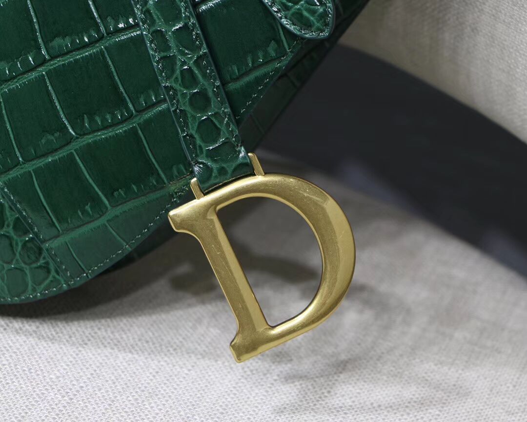 Dior SADDLE SOFT CALFSKIN BAG C9045 green