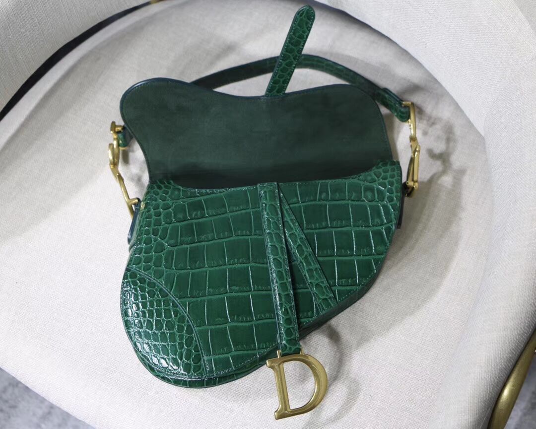 Dior SADDLE SOFT CALFSKIN BAG C9045 green