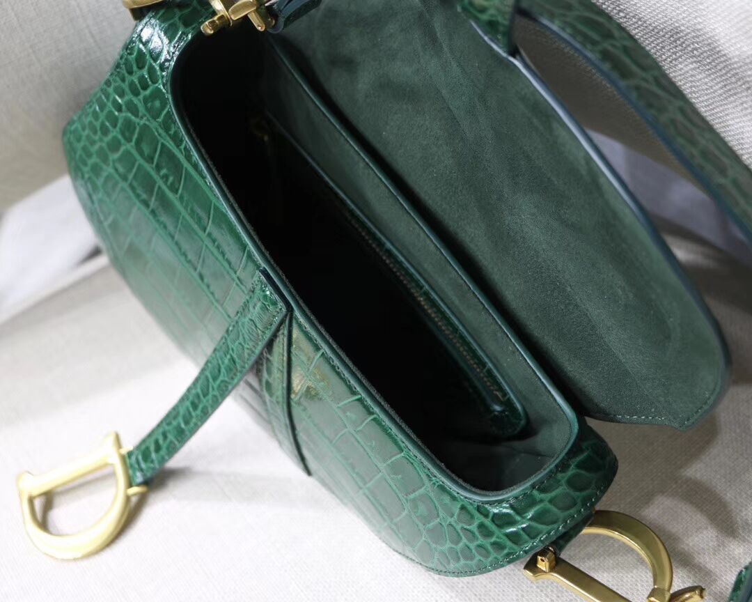 Dior SADDLE SOFT CALFSKIN BAG C9045 green