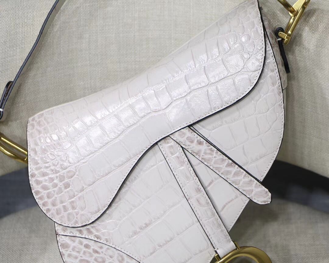 Dior SADDLE SOFT CALFSKIN BAG C9045 white